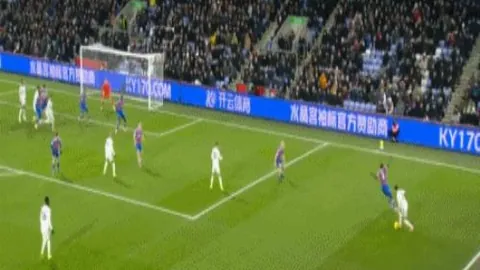 土超科尼亚体育期号分析：专家质合推荐前区十码