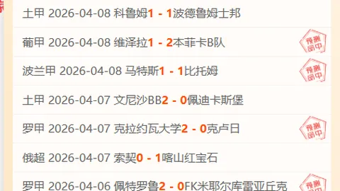 夏洛特FC以800万美元低廉价格签下斯滕斯，实为明智之选！